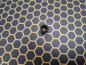 Preview: Kydex Liquid Metal Honeycomb Gold Reversed Infused 2mm 15x30