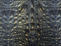 Preview: Kydex Realistic Alligator pattern infused