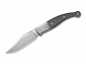 Preview: LionSteel Gitano CF 