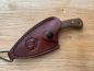 Preview: Condor PANGUI KNIFE