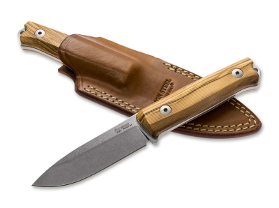 LionSteel B40 Olive Wood