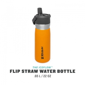 Stanley IceFlow Flip Straw orange Trinkflasche 650ml