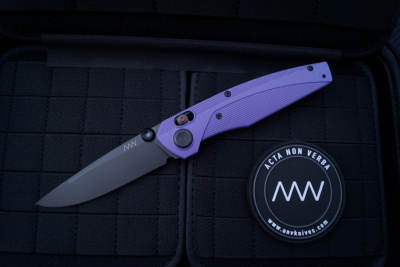 ANV Knives - ACTA NON VERBA -A100 glatte Klinge G10 Magnacut Blueberry