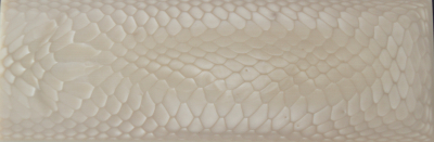 Juma Platte ivory Snake 10mm
