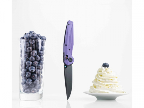 ANV Knives - ACTA NON VERBA -A100 glatte Klinge G10 Magnacut Blueberry