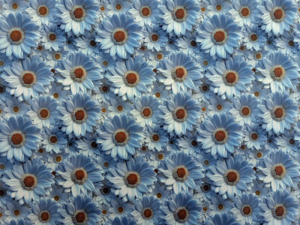 Kydex Modern Daisy infused thermoplastischer Kunststoff