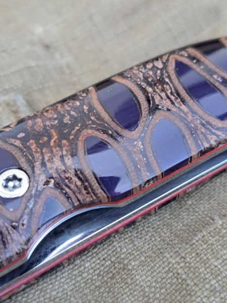 Citadel Saigon – Banksia Zapfen & Violettes Kunstharz