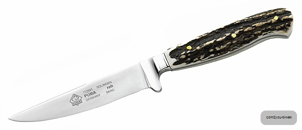 PUMA Reh