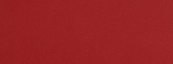 A thermoplastic material for the vagina holster and case construction.