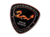 Spyderco Fire Dragon Coin 2021 firefighter