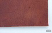 Lappleder Elch 10cm x 12cm