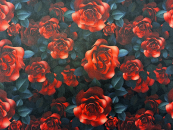 Kydex Modern Roses infused