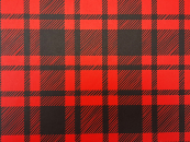 Kydex EMT RED Plaid infused 2mm 30x30