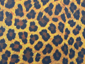 Kydex Cat Fur infused 2mm 30x30