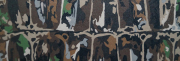 Kydex Bullgator 2 mm 15x30 cm