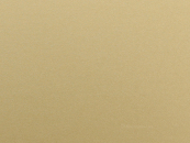 Kydex Liquid Metal Gold 2mm 15x30cm
