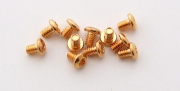Gold plated button Schrauben 3,6 mm M2 x10