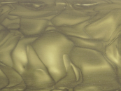 Juma Woodland Camo 5mm